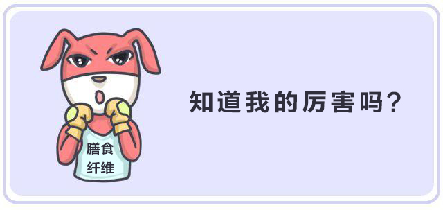 纖維時代，未來已來
