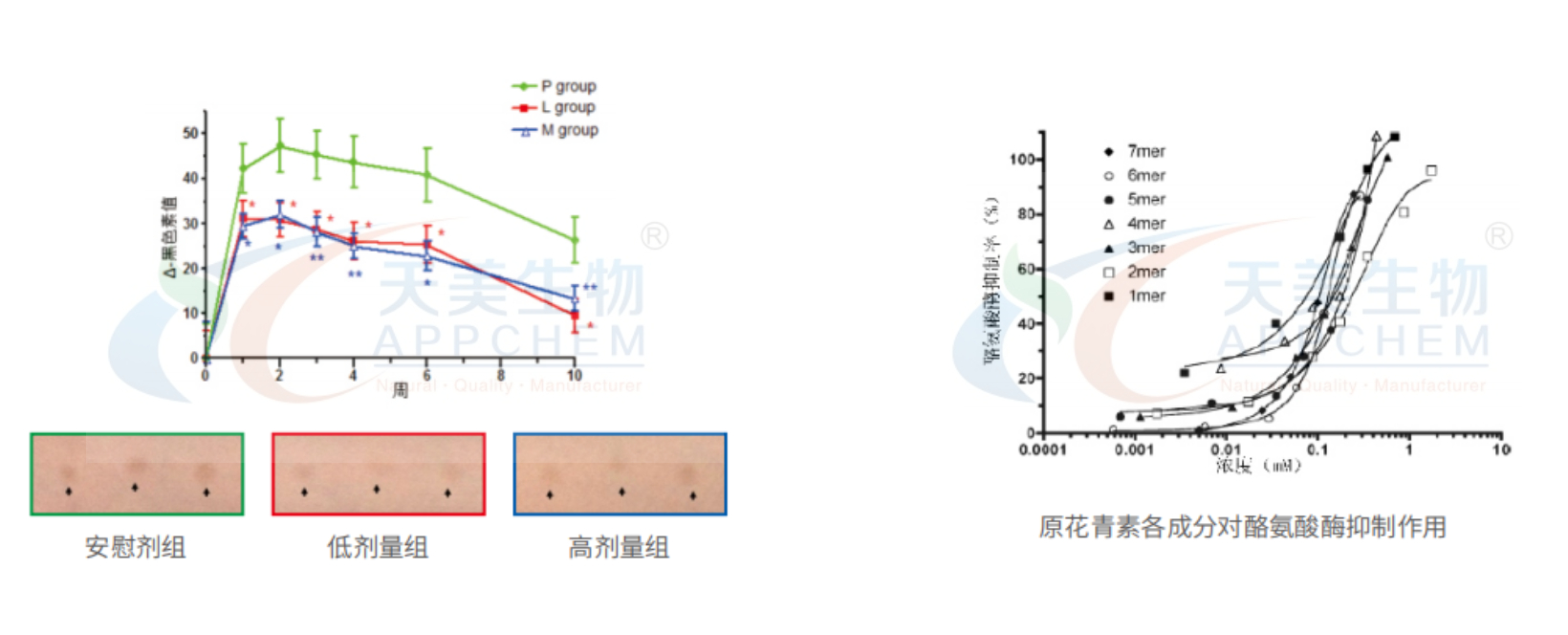 蘋(píng)果美白-水印